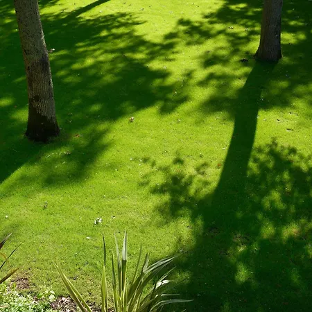 L'atelier Cosy & Moderne, Terrasse Pres Nature Διαμέρισμα *