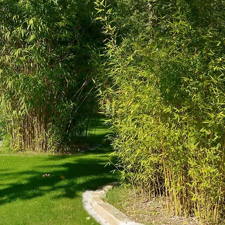 L'atelier Cosy & Moderne, Terrasse Pres Nature *