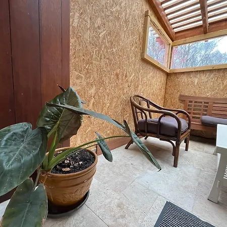 L'atelier Cosy & Moderne, Terrasse Pres Nature * Soucelles