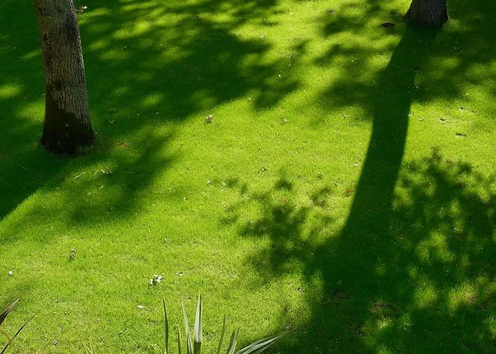 L'atelier Cosy&moderne, Terrasse Près Nature Appartement *